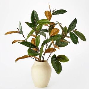 Large Magnolia Leaf Potted - Threshold™ designed with Studio McGee